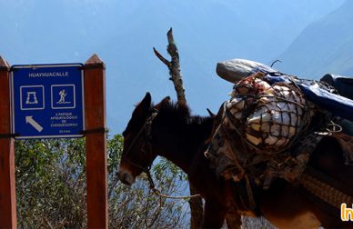 Choquequirao Trek Route